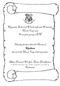 Diploma 1bbm Hogwarts coppa delle case