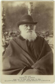 Autoritratto di Darwin